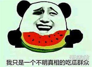 吃瓜大娱乐,揭秘娱乐圈幕后故事与热点事件