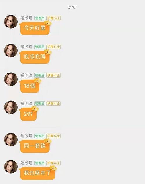 娱乐吃瓜的网名大全,娱乐吃瓜界的趣味昵称大盘点