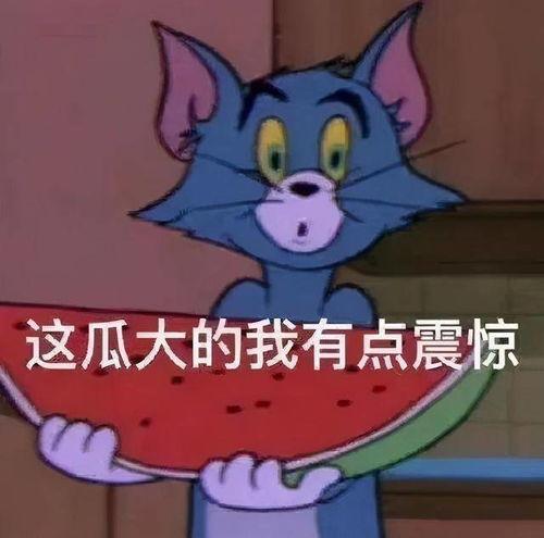 吃瓜娱乐热,吃瓜群众的热议焦点