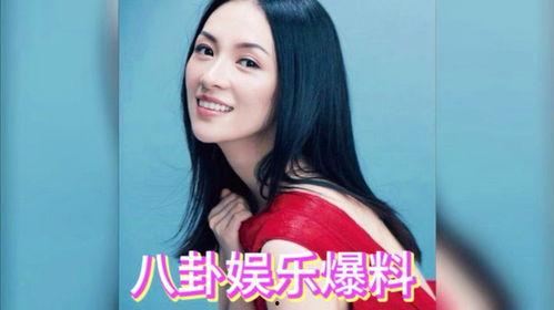 娱乐明星最新吃瓜视频下载,揭秘幕后真相与幕后黑手