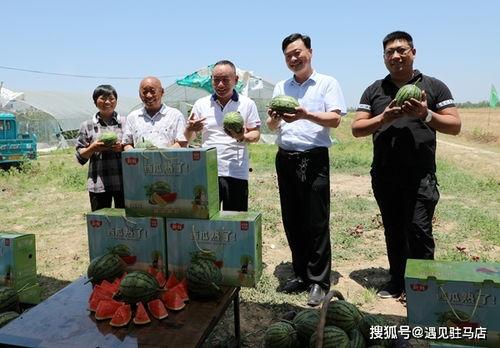 娱乐小八吃瓜视频下载,揭秘娱乐圈幕后故事