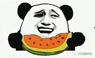 娱乐圈吃瓜系统雕动画,揭秘明星幕后故事