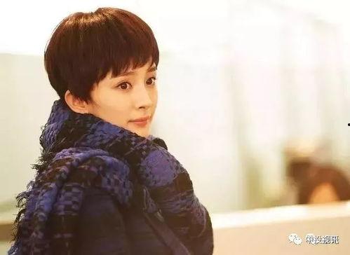 吃瓜姐妹娱乐圈,吃瓜姐妹的八卦盛宴