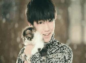 娱乐吃瓜蒋依依吴磊视频,娱乐吃瓜现场曝光