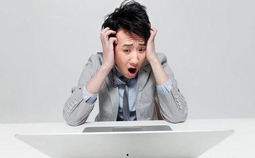 娱乐圈吃瓜爽文小说推荐,从吃瓜小白到瓜王逆袭之路