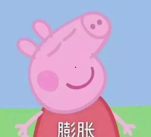 小猪娱乐吃瓜直播间,揭秘娱乐圈幕后故事