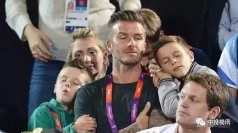 娱乐吃瓜酱爸爸在线观看