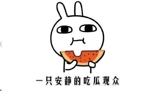 娱乐吃瓜酱主观厌恶定律,揭秘那些让我反感的明星八卦