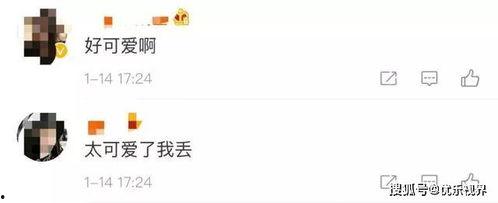 微信娱乐圈吃瓜