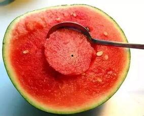 娱乐吃瓜酱玉,揭秘娱乐圈背后的故事与真相