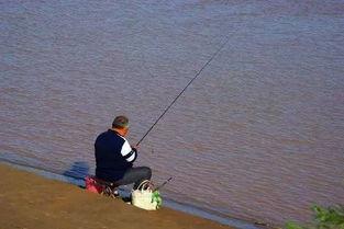 娱乐吃瓜钓鱼视频下载安装