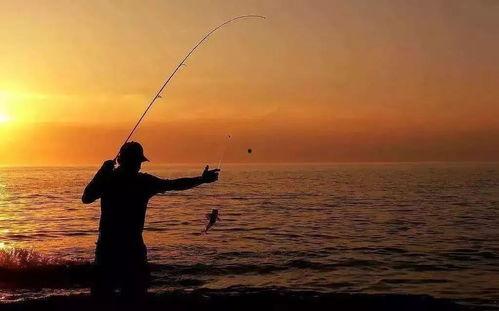 娱乐吃瓜钓鱼视频下载安装