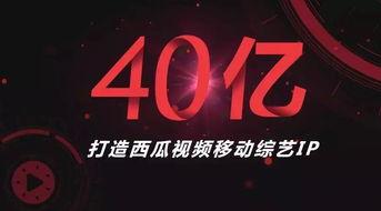 娱乐吃瓜字幕怎么制作,如何制作娱乐吃瓜字幕