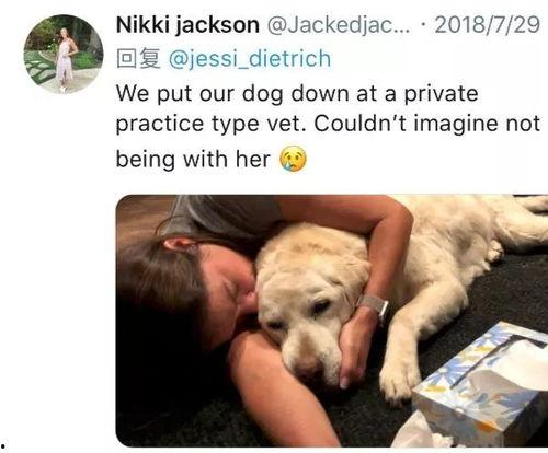 宠物安乐死娱乐吃瓜酱