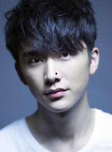 娱乐吃瓜君张新成,娱乐吃瓜界的“瓜王”崛起之路