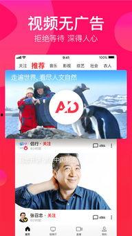 吃瓜娱乐疯子视频大全下载,一键下载收藏！