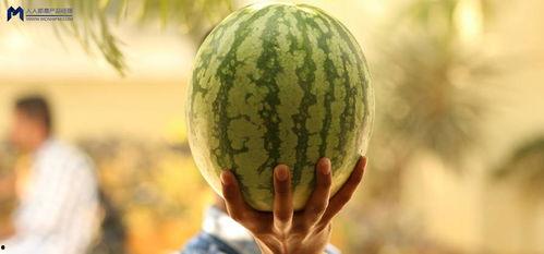 大娱乐吃瓜,大娱乐吃瓜，揭秘明星幕后故事