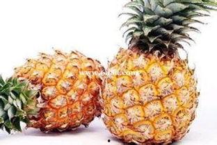 娱乐吃瓜小菠萝视频,揭秘娱乐圈幕后故事