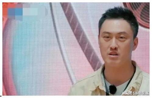 娱乐圈谁喜欢吃瓜,揭秘那些爱吃瓜的明星们